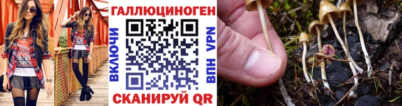 mega ссылка Королёв Галлюциногенные грибы ЛСД